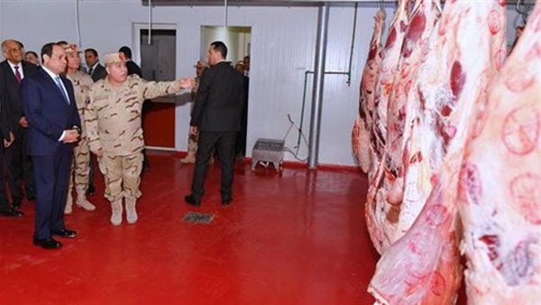 صورة من المشروع