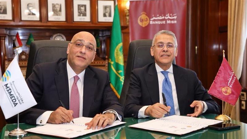 تنمية المشروعات 