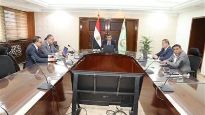وزير الزراعة: الأمن الغذائي العربي أصبح ضرورة إستراتيجية 