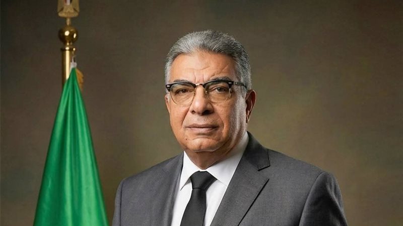 محافظ الدقهلية 