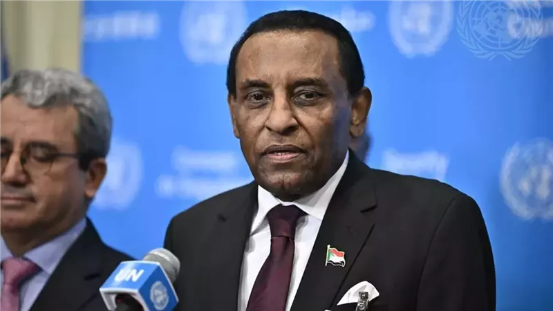 رئيس الحكومة الانتقالية في السودان كامل إدريس