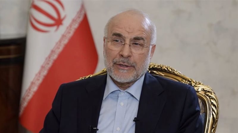 رئيس البرلمان الإيراني