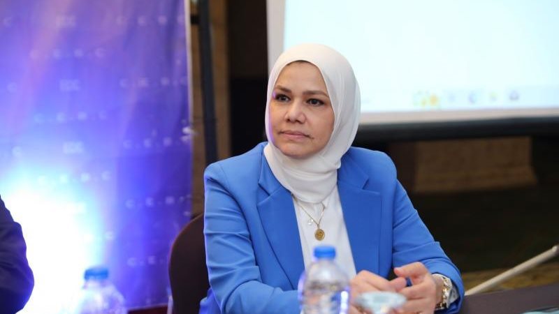 رشا عبدالعال، رئيس مصلحة الضرائب المصرية