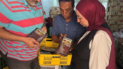 التحفظ على 7.8 طن لحوم وسجق وكفتة فاسدة في حملات مفاجئة بالدقهلية