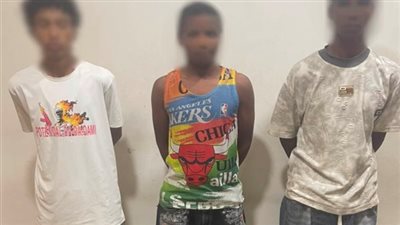 ضبط 3 طلاب بعد إلقاء الحجارة على قطار أثناء سيره في أسوان.. وهذه عقوبتهم