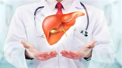 الصحة: الفحوصات المنتظمة لمرضى الكبد مفتاح الاكتشاف المبكر والعلاج