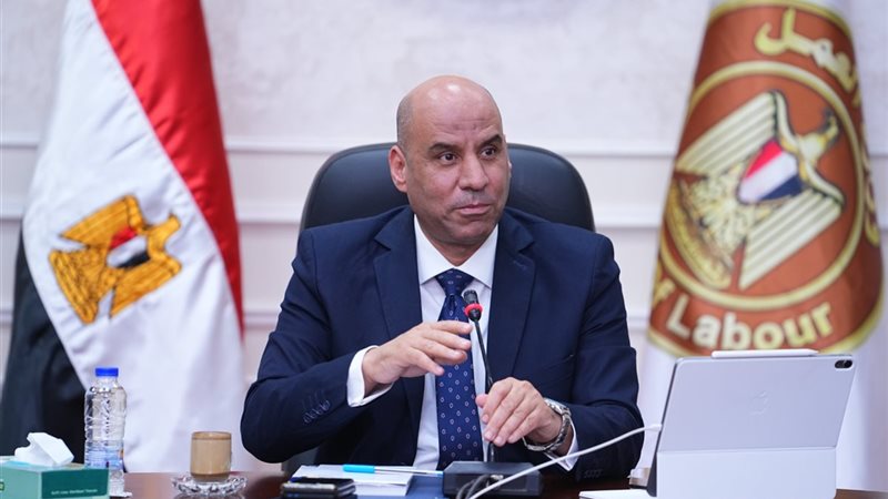 وزير العمل