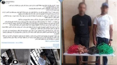 سقوط لص أسلاك شقة تحت الإنشاء ببورسعيد.. وهذه عقوبة المتهمان