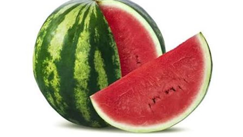 بطيخ 