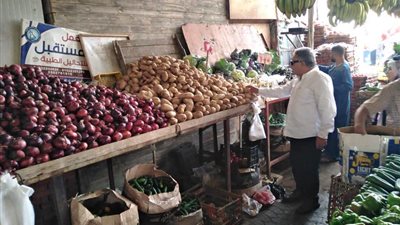 محافظ الدقهلية: إلغاء ترخيص أي منفذ يتلاعب بالأسعار في بلقاس