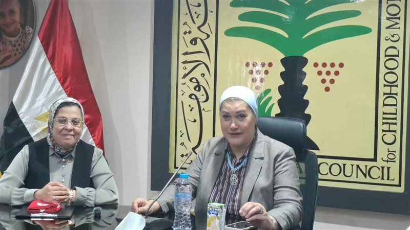حملة 
