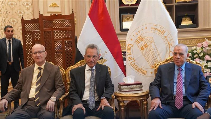 المستشار هاني حنا