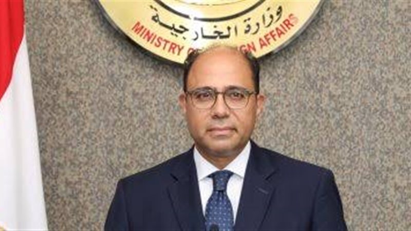 السفير أحمد أبو زيد