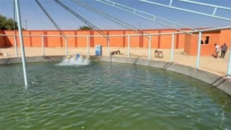 المزرعة السميكة 