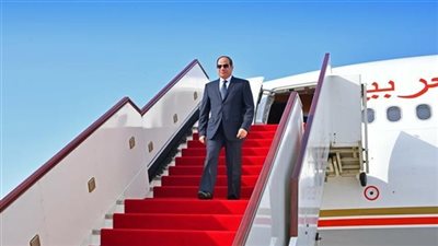 عضو الشيوخ : زيارة الرئيس السيسي إلى تنزانيا خطوة تاريخية
