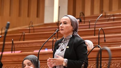  نشوة عقل: زيارة الرئيس السيسي إلى تنزانيا تفتح آفاقًا جديدة للتعاون الاقتصادي
