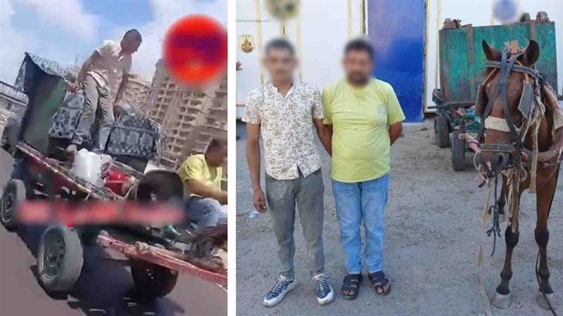 المتهمين 