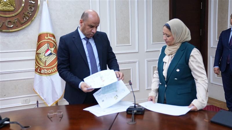 وزير العمل