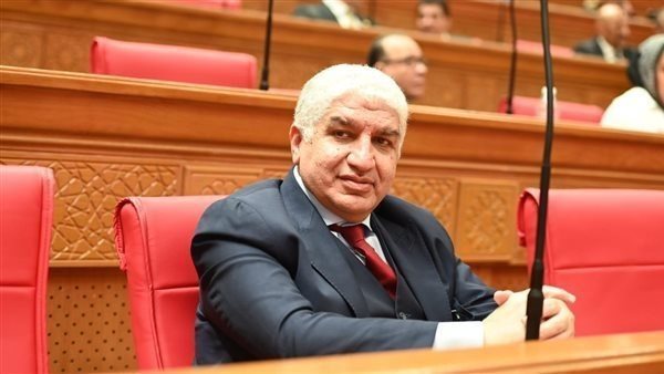  النائب أشرف سعد سليمان، وكيل لجنة الشئون الأفريقية 