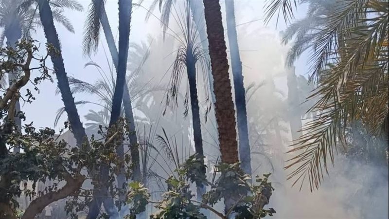 الحريق