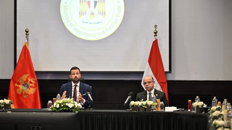اللقاء 