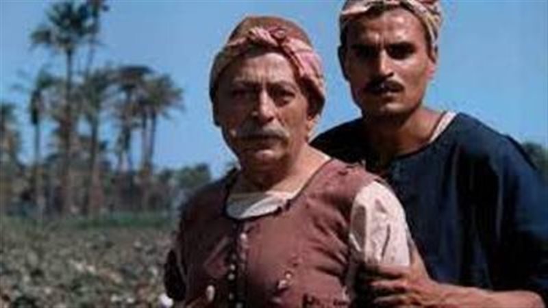 فيلم الأرض