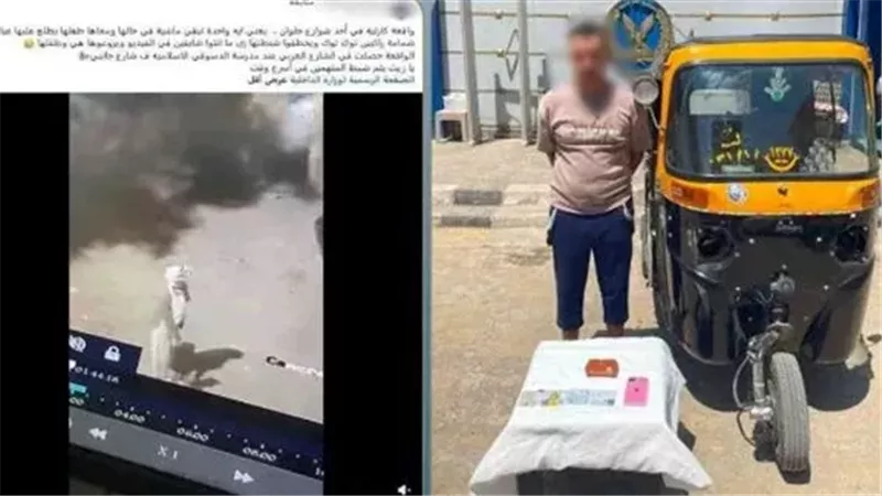المتهم 