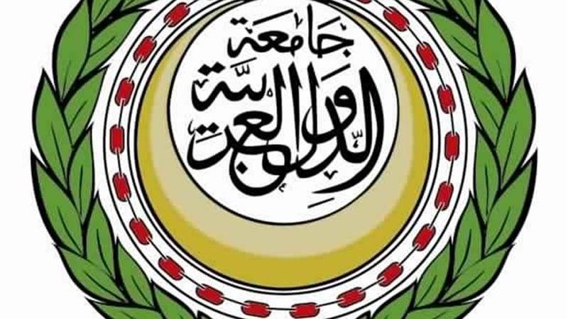 جامعة الدول العربية 