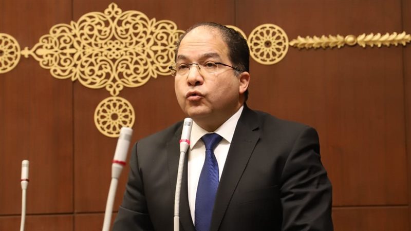  النائب عادل اللمعي، عضو مجلس النواب