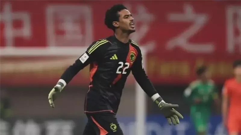 حامد الشنقيطي