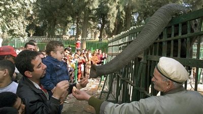 فتح المتنزهات العامة أمام الزائرين خلال العيد، وتحديد موعد تشغيل حديقة الحيوان