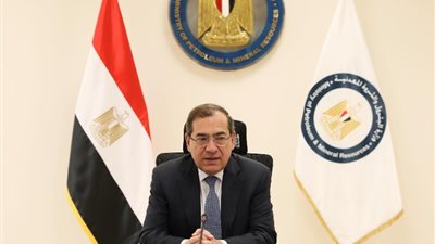 وزير البترول: صناعة البتروكيماويات تمتلك فرص واعدة للنمو