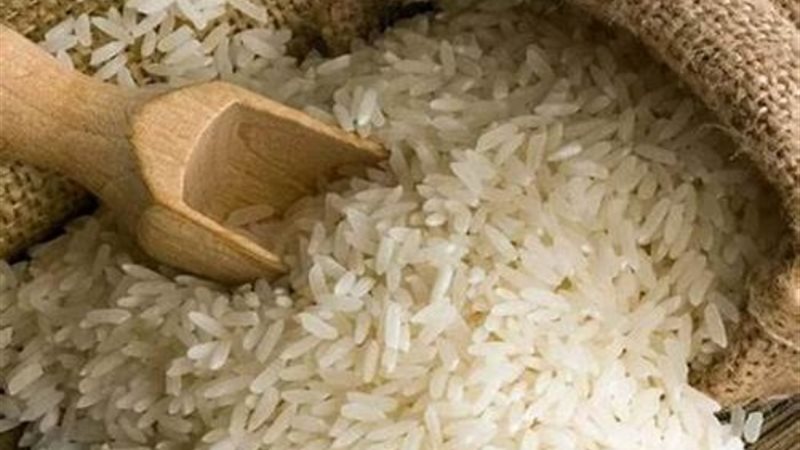 الأرز -أرشيفية
