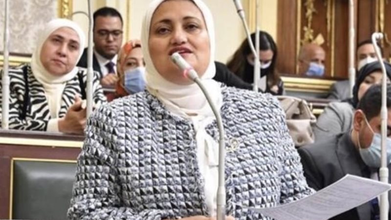 النائبة سناء السعيد
