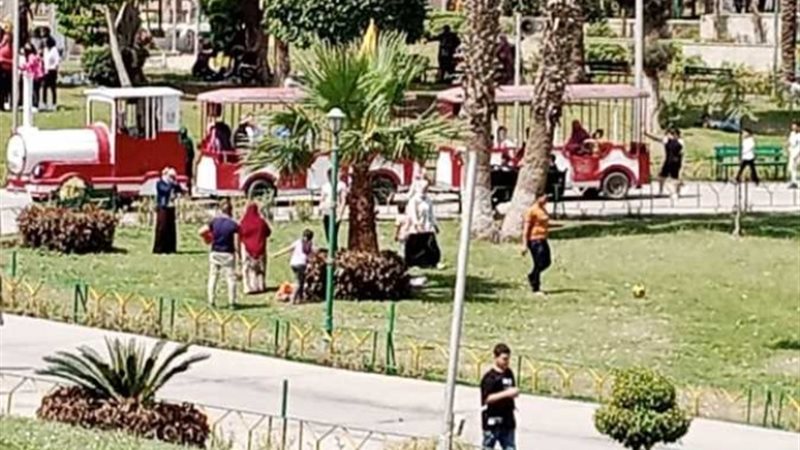 أرشيفية
