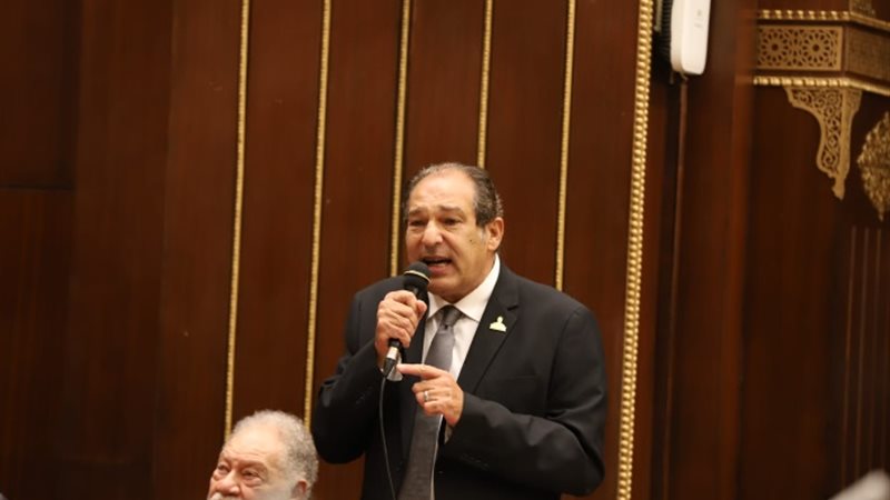 النائب حسام الخولي