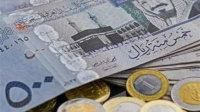 سعر الريال السعودي أمام الجنيه المصري اليوم الاثنين 15-4-2024