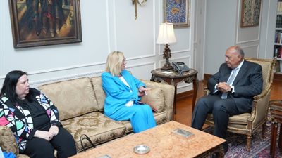 وزير الخارجية يؤكد ضرورة توفير الحماية لأطقم الإغاثة الدولية في غزة
