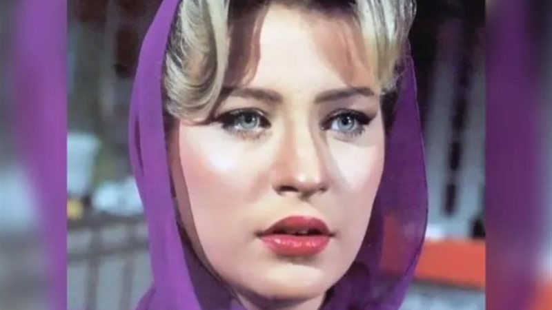 شيرين سيف النصر