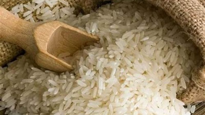 أرشيفية - الأرز