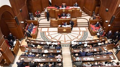 6 توصيات من مجلس الشيوخ لدعم زراعة القطن في مصر