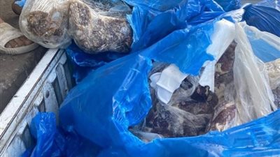 إعدام 247 كيلو جرام لحم ضاني غير صالح للاستهلاك الآدمى بدمياط