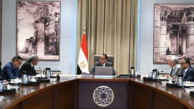 رئيس الوزراء يتابع موقف منظومة إنتاج وتوزيع الأسمدة الزراعية
