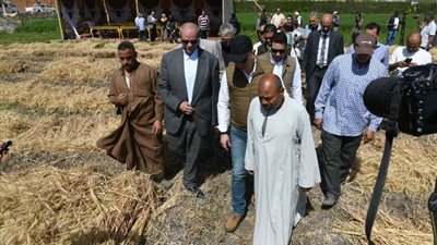 افتتاح موسم حصاد القمح 2024 بمحافظة الفيوم