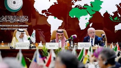 التعاون الإسلامي تعرب عن أسفها بعد فشل قرار مجلس الأمن في ضم فلسطين للأمم المتحدة
