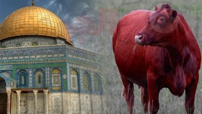 أنقذوا الأقصى، منظمات متطرفة تستعد لهدم أولي القبلتين