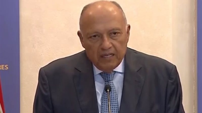 وزير الخارجية سامح شكري