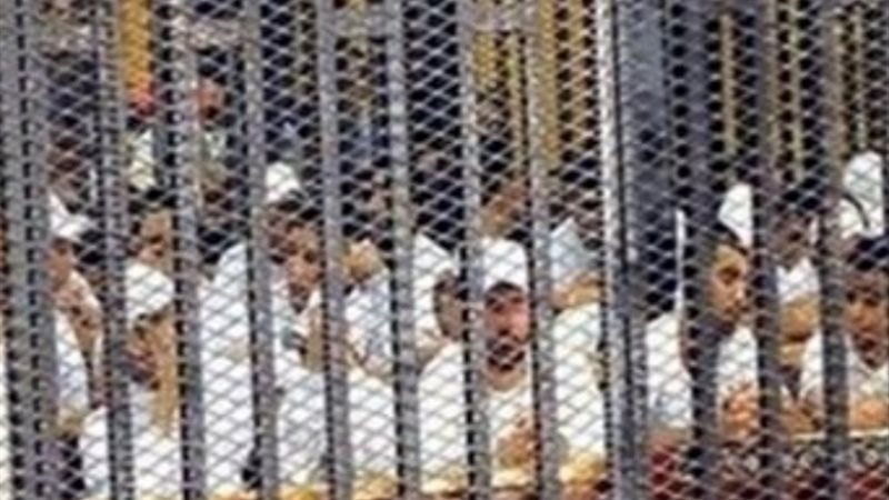 خلية داعش حلوان