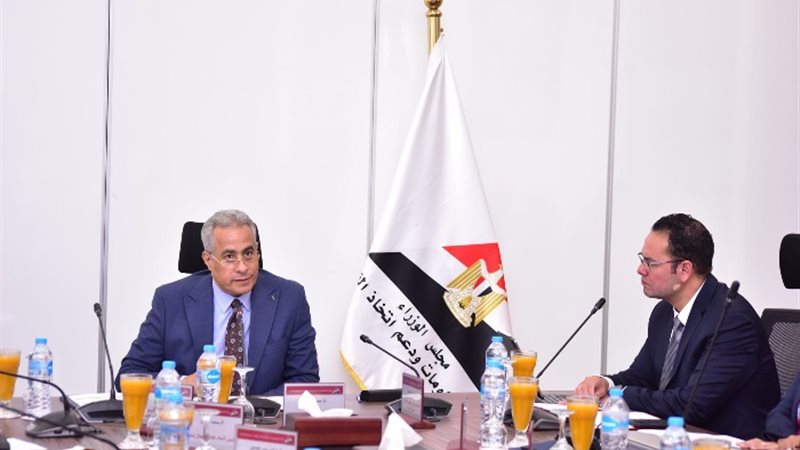 حسن شحاتة وزير العمل