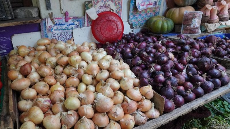 أرشيفية